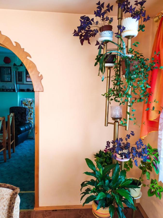 Apartament U Helenki Groń Dış mekan fotoğraf